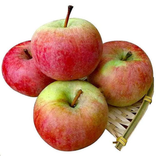 苹果表面怎么有一层油,苹果表面油洗不掉怎么回事(2)