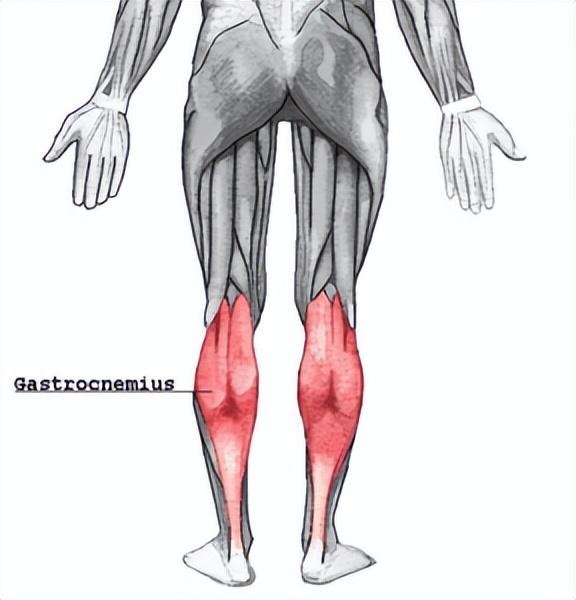 如何全面放松小腿肌肉,初学者怎么放松小腿肌肉(2)