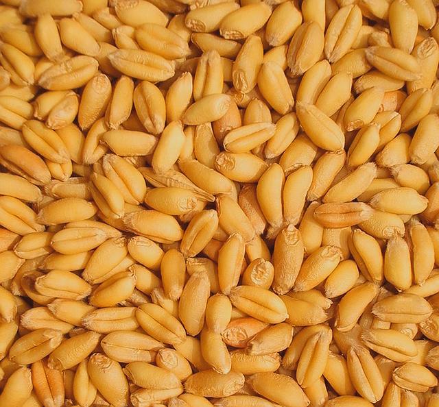 燕麦和燕麦片有区别吗,为什么燕麦要尽量少吃(4)