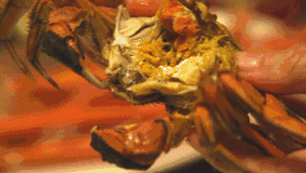 清蒸大闸蟹的做法蒸几分钟,螃蟹上气后蒸几分钟(4)