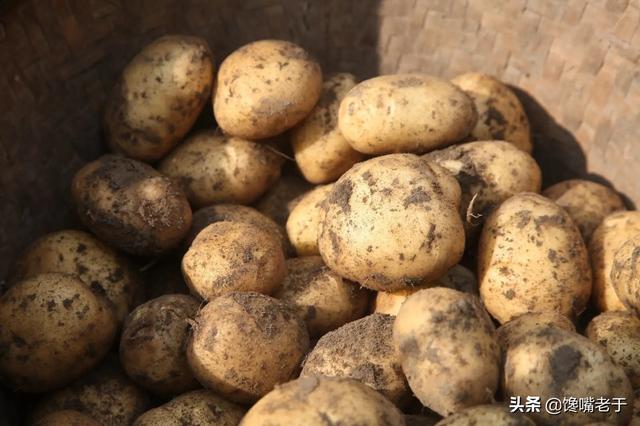 土豆不生芽的小妙招,土豆发芽了怎么处理才能吃(3)