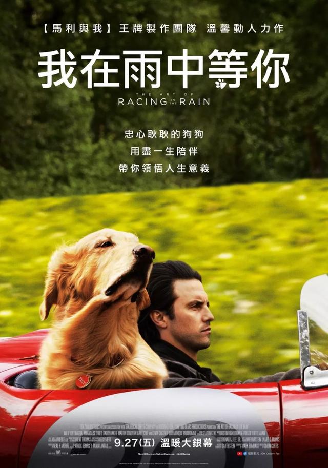 关于狗狗的电影排名,最好看的狗狗电影排名(4)