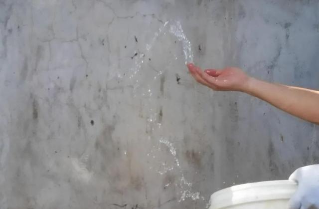 防水墙面拉毛用哪种胶水好,做防水墙上要刷胶水吗(3)