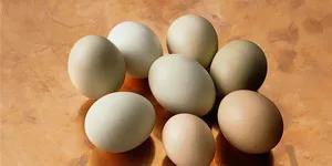 生鸡蛋用清水洗干净能存放多久,用水洗过的鸡蛋还能放多久(2)