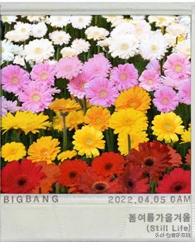bigbang不火了吗,bigbang 在韩国的地位(1)