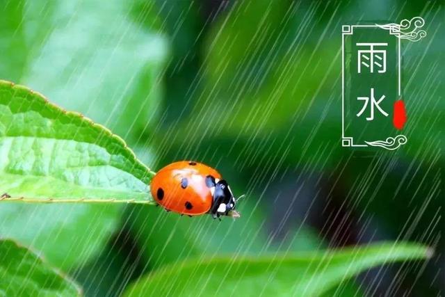 雨水节气的俗语有哪些,描写节气的俗语有哪些(5)