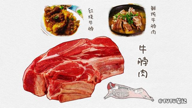 牛肉什么部位的肉最好,卖牛肉新手入行(4)