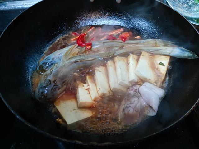 做鱼炖豆腐选哪种鱼好吃,(6)