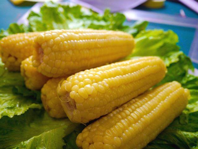 白玉米好还是黄玉米好,白玉米营养好还是黄玉米营养好(3)