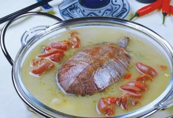 石龟煲汤放什么配料,石金钱龟煲汤的配料(3)