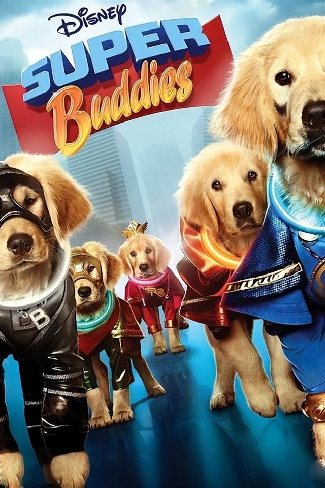 关于狗狗的电影排名,最好看的狗狗电影排名(5)
