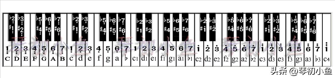 电子琴移调顺序图,电子琴移调对照表(1)