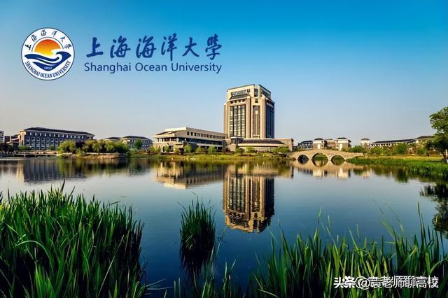 上海海洋大学跟211差距大吗,上海海洋大学211专业(4)