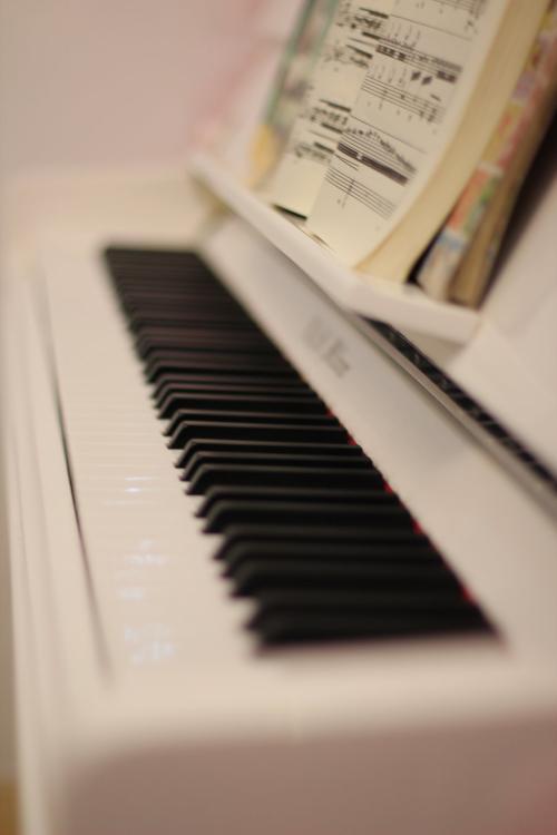 电子琴和钢琴哪个适合零基础学,电子琴和钢琴学哪个好(2)
