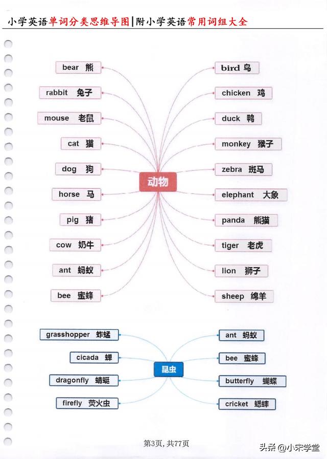 3-6年级英语单词表,3-6年级英语单词表中文(3)