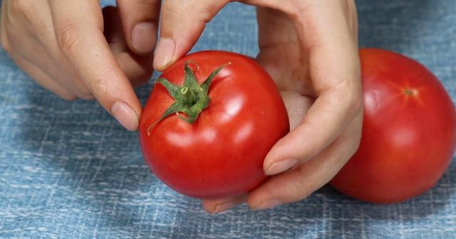 打激素西红柿对比图片,怎样辨认不打激素的西红柿(4)