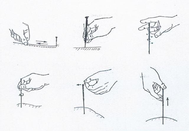 八种行针辅助手法,传统进针手法口诀(1)