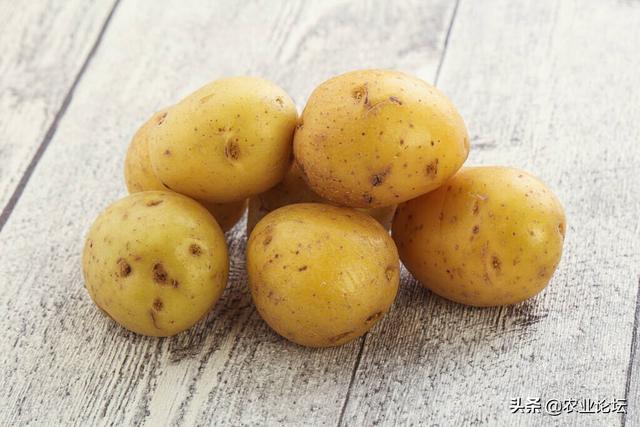 马铃薯种植时间和方法,哪种粪对土豆最好(3)
