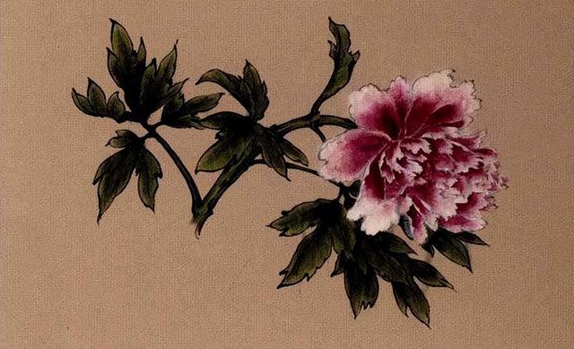 画牡丹花朵步骤图解,怎么画牡丹叶子最简单(4)