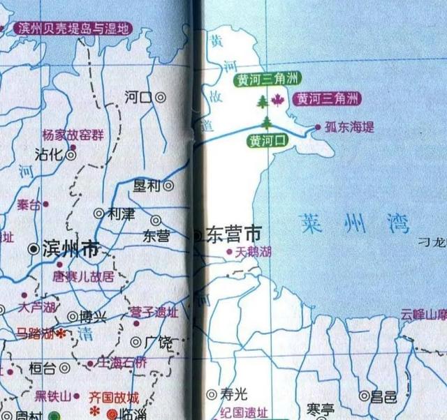 山东东营地图,东营什么最出名(3)