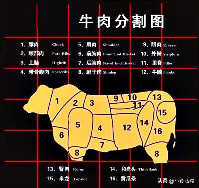 牛肉哪个部位炖着好吃,牛肉26个分解图图片(4)
