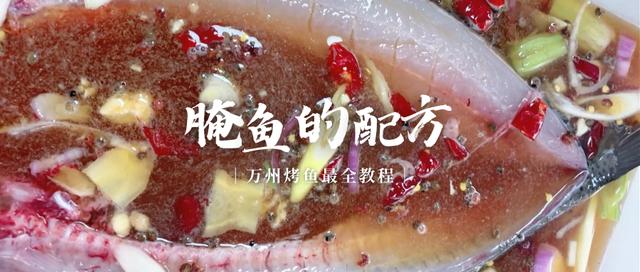 四川腌制鱼的制作视频,正宗四川鱼的腌制配方大全(1)