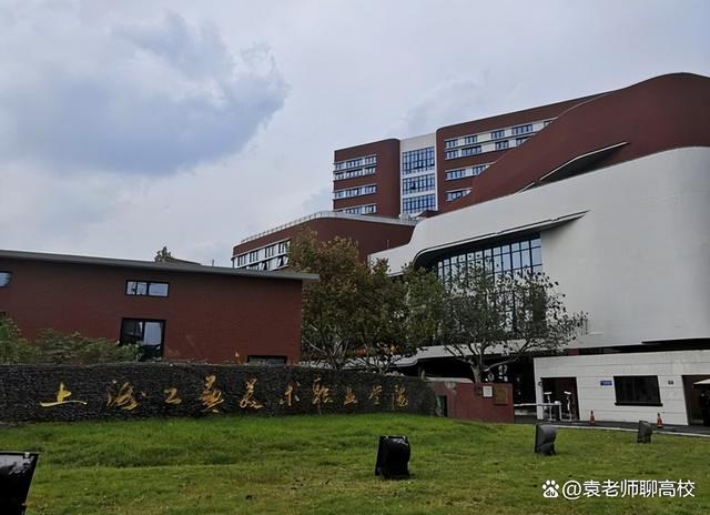 上海美术职业学院录取分数线,上海哪个大专学校最好(2)