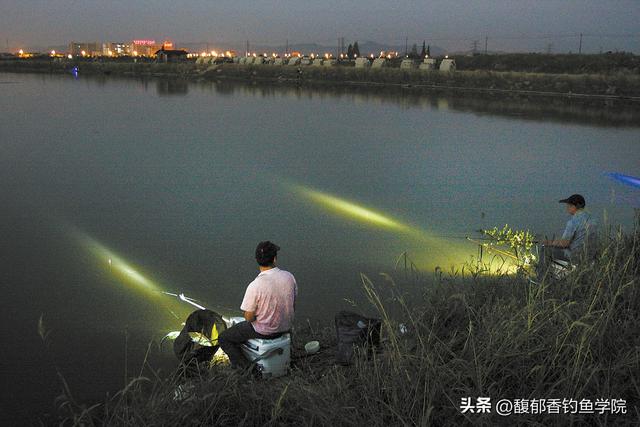 钓鲤鱼最佳时间和水深,晚上钓鲤鱼的正确方法(3)