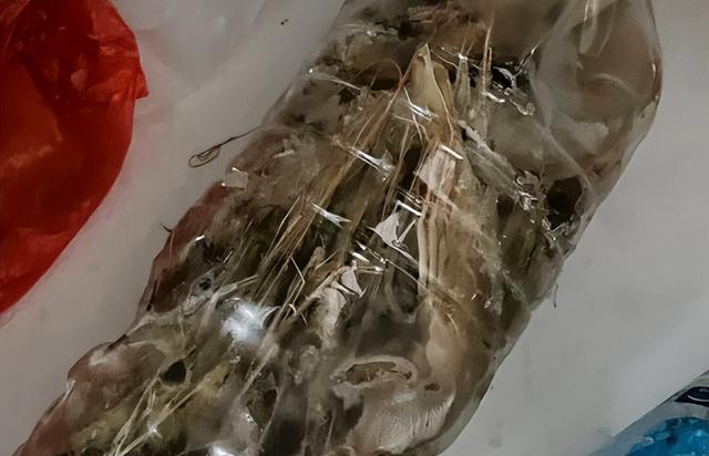 基围虾的保鲜方法,新鲜基围虾的保存方法(2)