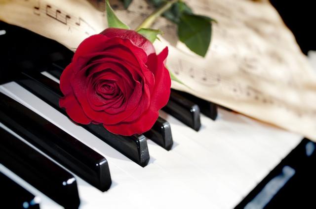 电子琴和钢琴哪个适合零基础学,电子琴和钢琴学哪个好(1)