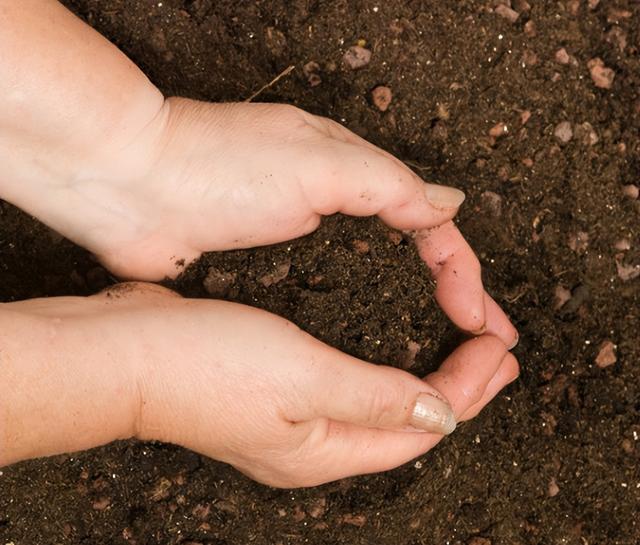 土壤酸化的最好方法改良,土壤酸化严重怎么办改良(1)