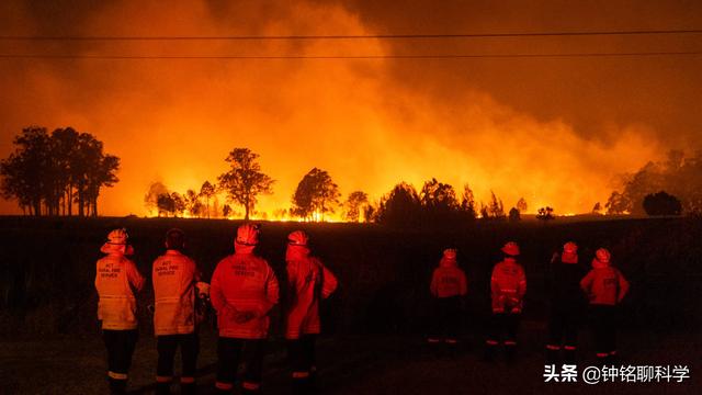 澳大利亚森林大火原因,澳大利亚森林大火 起因(1)