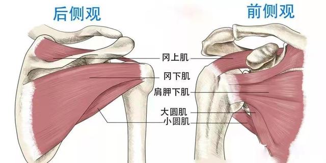 一招教你辨别肩周炎,右肩痛只需一招(2)
