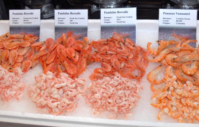 北极冰虾为什么是熟的,北极甜虾为啥都是熟的(1)