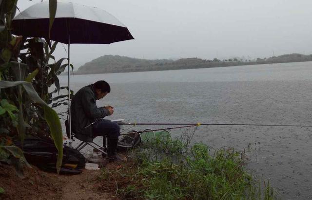 春雨适合钓鱼吗,春雨季节适合钓鱼吗(2)