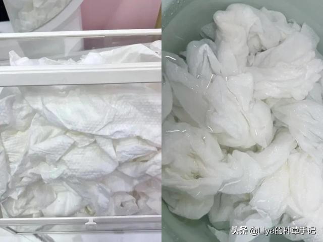 无纺布好还是纯棉好,纯棉和纯棉无纺布的区别(3)