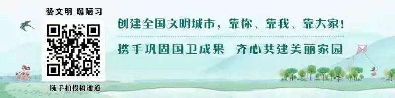 杭州千岛湖的海拔高度,千岛湖是杭州的飞地吗(19)