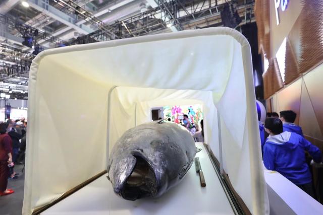 最大的蓝鳍金枪鱼图片,400公斤蓝鳍金枪鱼图片(2)