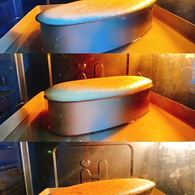 酸奶蛋糕的家常做法用烤箱,烤箱酸奶蛋糕做法和配方(4)