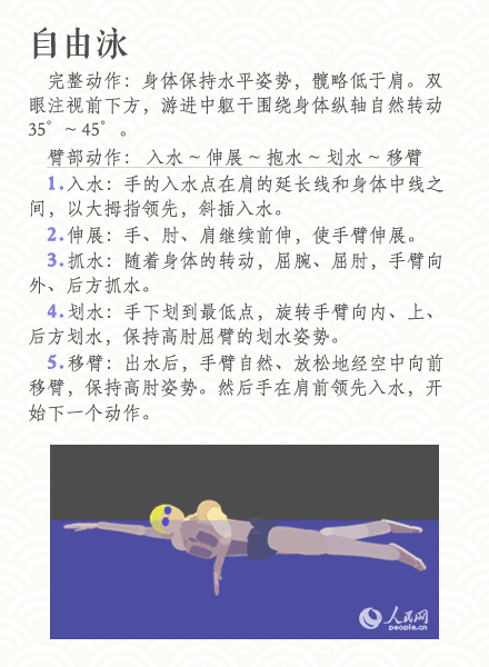 自己学自由泳怎么学,自由泳练打腿练到什么地步(3)