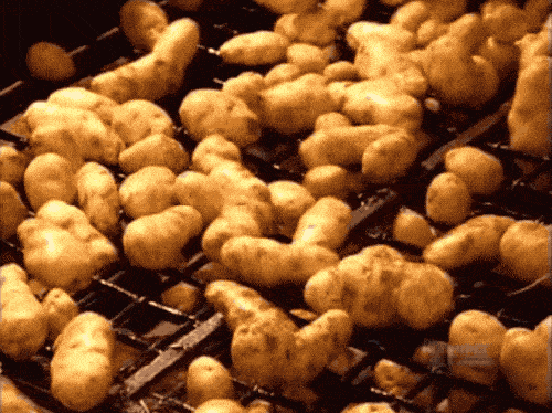 黑土豆炒出来是脆的吗,黑土豆多少钱一斤(4)