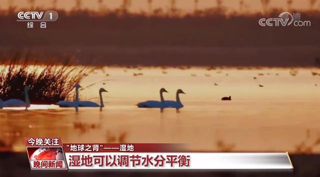 什么是湿地,中国湿地一览表(2)