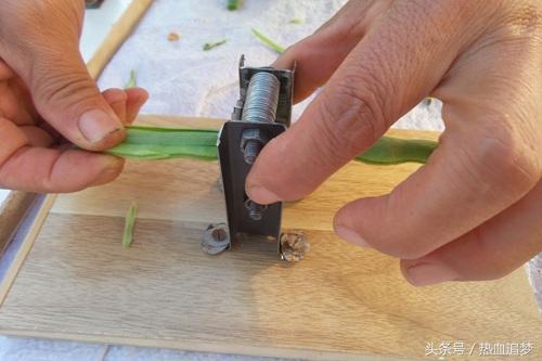 豆角切丝神器制作,豆角切丝神器家庭用的(2)