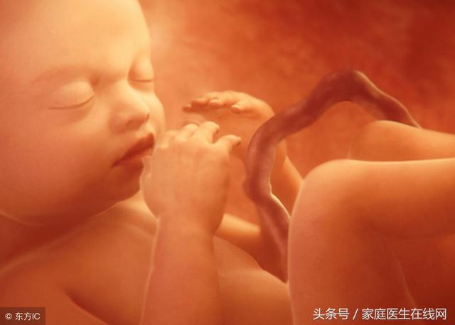 胎儿几周能听胎教音乐最好,孕多少周开始听胎教音乐(4)