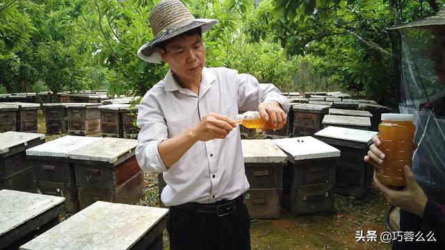 怎么辨别好蜂蜜和坏蜂蜜,真假蜂蜜最快鉴别方法(3)
