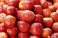 慢性胃炎每天早上吃熟苹果好吗（慢性胃炎早上空腹吃苹果好吗）