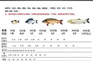 3-5斤鲤鱼用几号伊势尼（5-10斤鲤鱼线组）