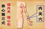 左手臂穴的准确位置图（手臂穴位置图解大全）