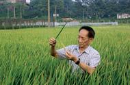 北宋时期从越南传入了什么农作物（宋代从越南传入什么农作物）