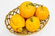 橘子类水果是热性还是寒性（橘子是凉性水果还是暖性水果）
